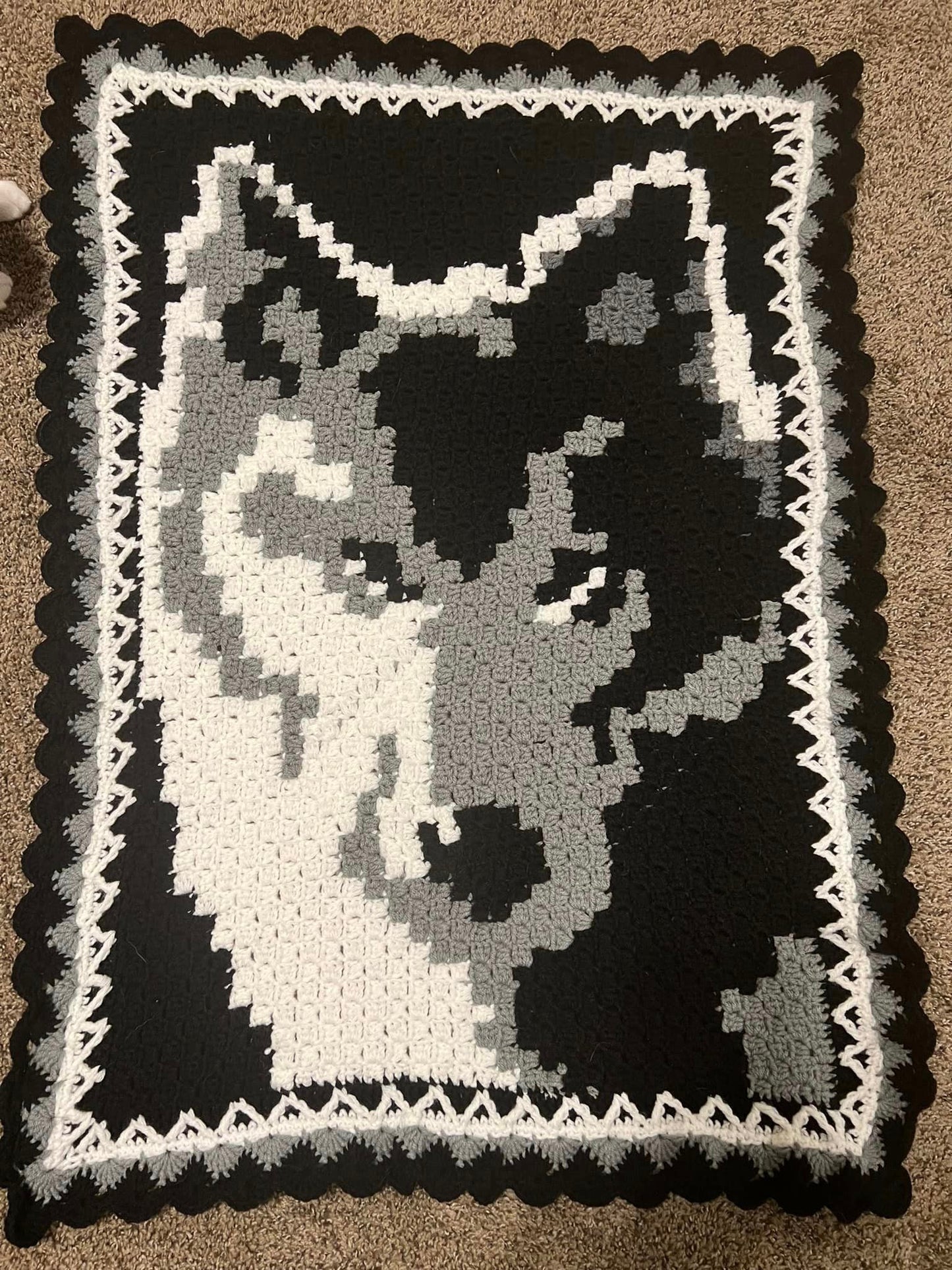 Full Size Hand Crocheted Blanket